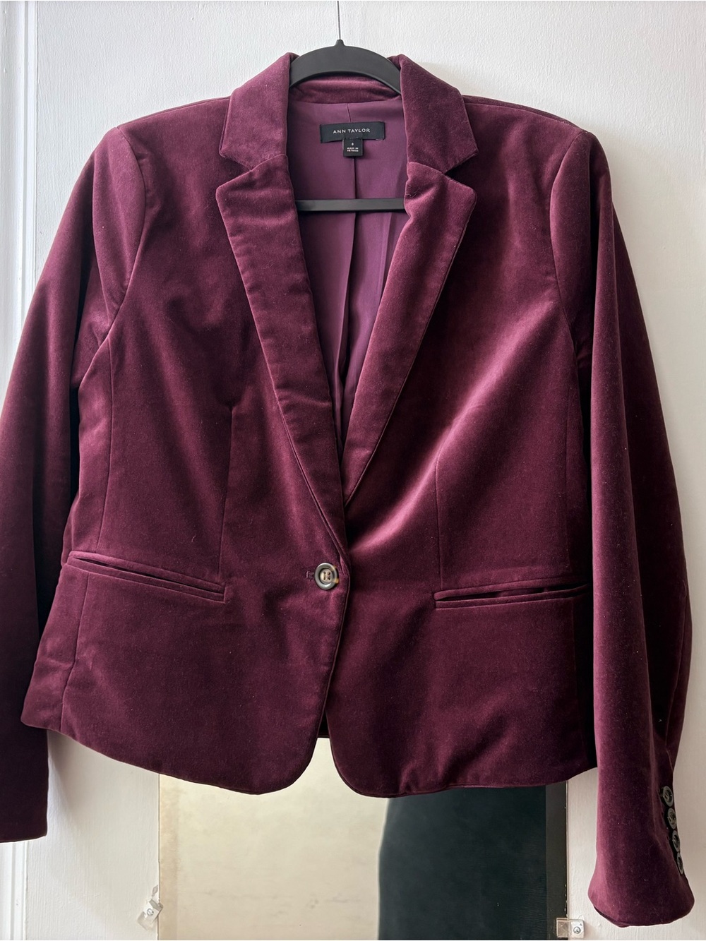 Ann Taylor Velvet Blazer - Wine